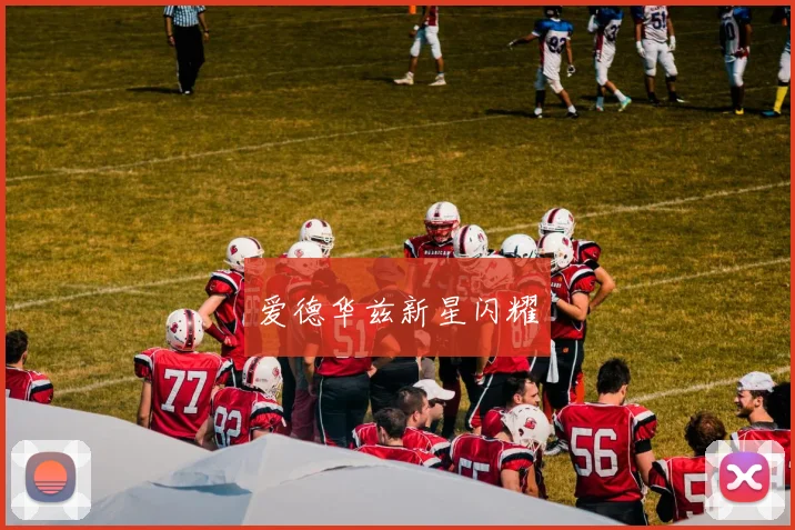爱德华兹新星闪耀