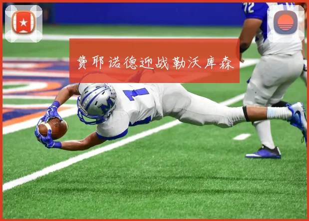 费耶诺德迎战勒沃库森