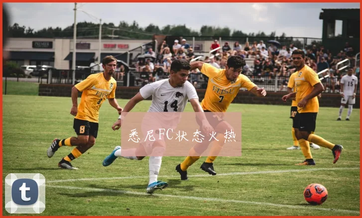 悉尼FC状态火热