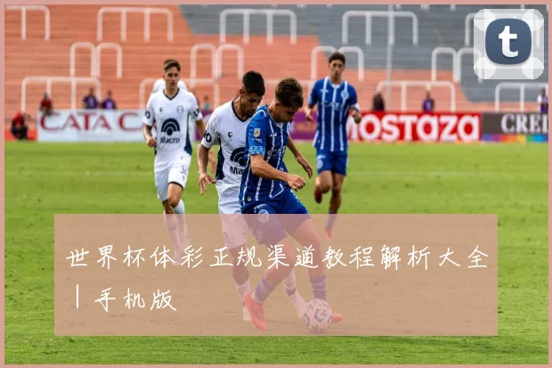 世界杯体彩正规渠道教程解析大全｜手机版