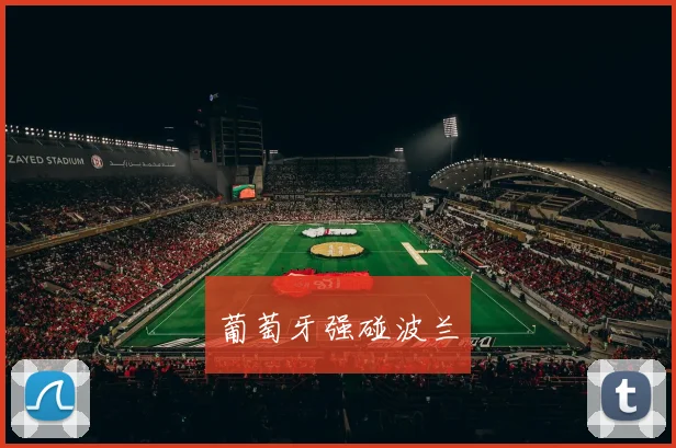 葡萄牙强碰波兰