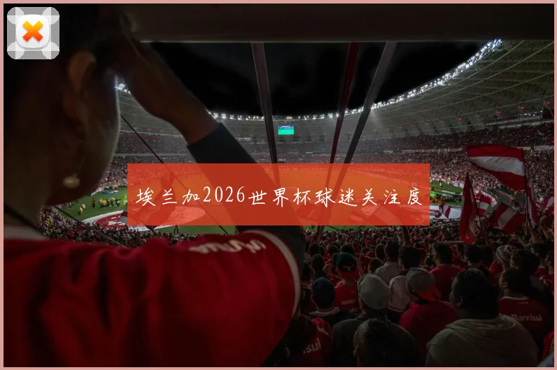 埃兰加2026世界杯球迷关注度