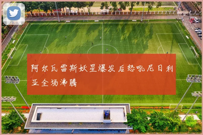 阿尔瓦雷斯妖星爆发后怒吼尼日利亚全场沸腾