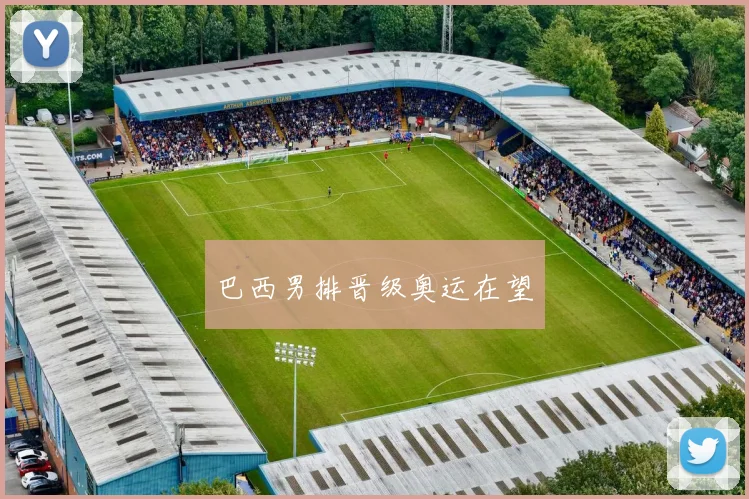 巴西男排晋级奥运在望