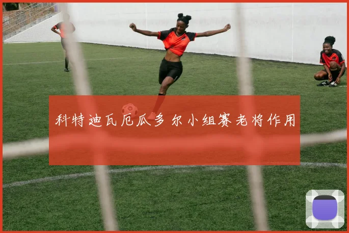 科特迪瓦厄瓜多尔小组赛老将作用
