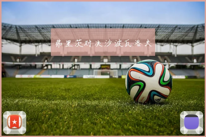 弗里茨对决沙波瓦洛夫