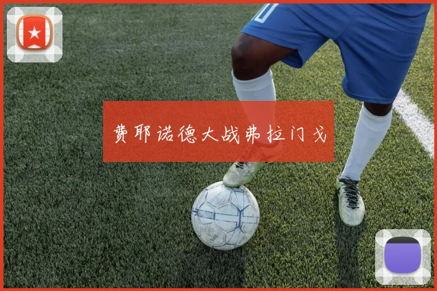 费耶诺德大战弗拉门戈