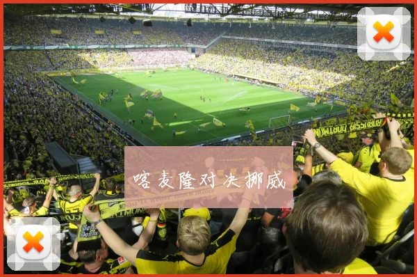 喀麦隆对决挪威