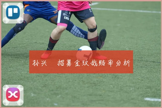 孙兴慜招募金玟哉赔率分析