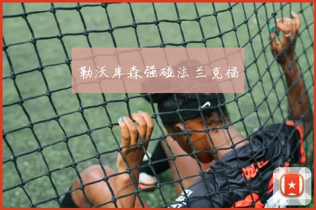 勒沃库森强碰法兰克福