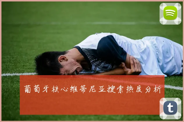葡萄牙核心维蒂尼亚搜索热度分析