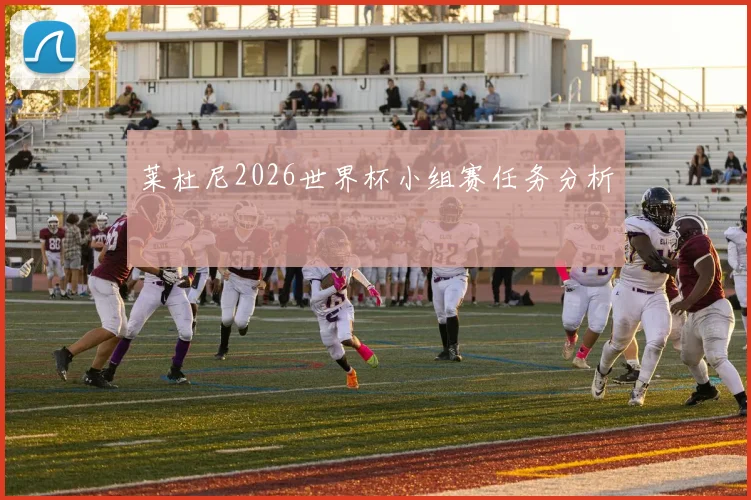莱杜尼2026世界杯小组赛任务分析