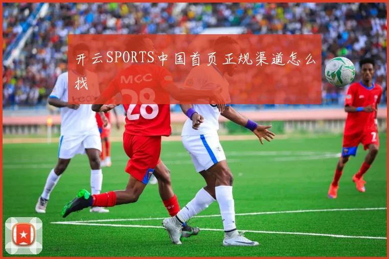 开云SPORTS中国首页正规渠道怎么找