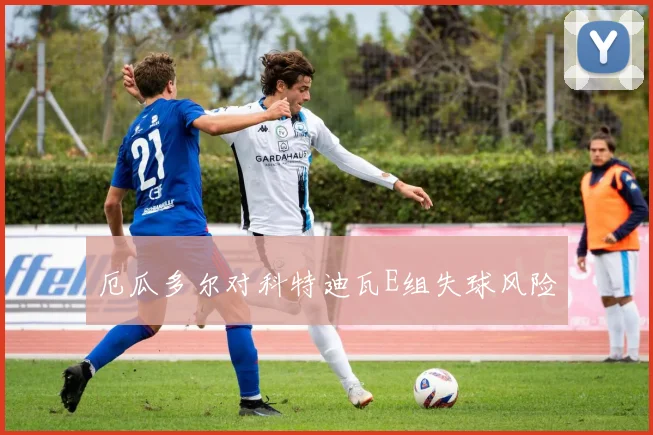 厄瓜多尔对科特迪瓦E组失球风险