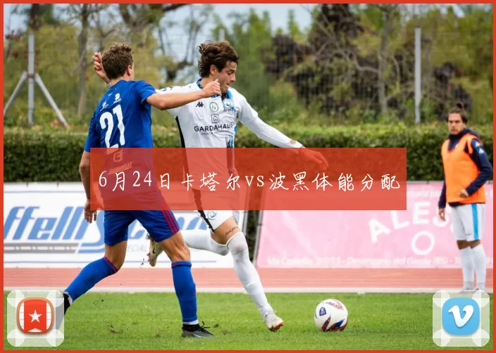 6月24日卡塔尔vs波黑体能分配