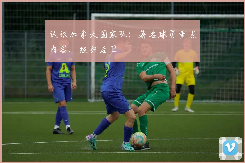 认识加拿大国家队:著名球员重点内容:经典后卫